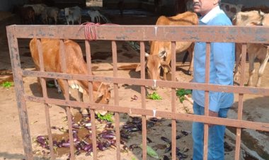 रायपुर के गौठान से बदली गौवंश एवं गौ पालकों की तकदीर*