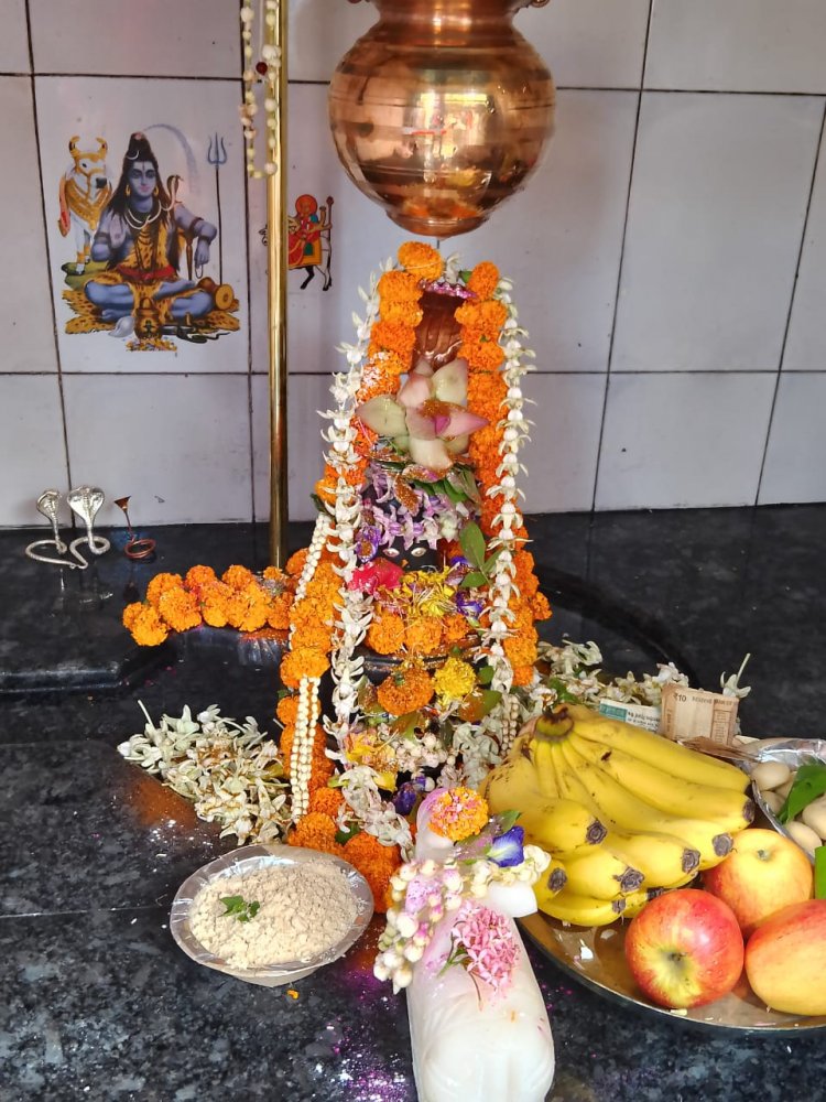 शिवानंद नगर में शिवलिंग प्राण प्रतिष्ठा पूजा का किया गया आयोजन