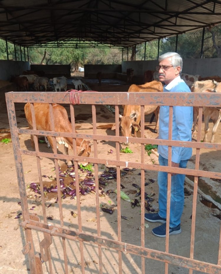 रायपुर के गौठान से बदली गौवंश एवं गौ पालकों की तकदीर*