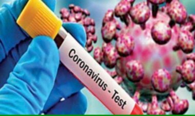 कोरोना के नए वेरिएंट जेएन.1 के मामलों में बढ़ोतरी, WHO ने चेताया ।