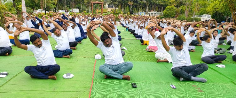 पर्यावरण के बीच आंतरिक शांति के लिये हुए इकट्ठा, योग के महत्व को समझा 