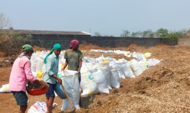 सुशासन तिहार का असर, आवेदनों पर कार्रवाई शुरू   पोल्ट्री फॉर्म की बदबू से ग्रामवासियों को मिला निजात, एसडीएम ने कार्रवाई की