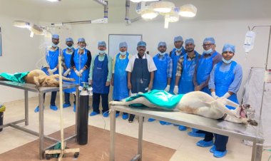 जिले में पशु जन्म नियंत्रण कार्यक्रम का प्रभावी क्रियान्वयन   अब तक 4,379 आवारा श्वानों का बंधियाकरण एवं एंटी रेबिस टीकाकरण किया गया