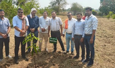 विधायक श्री सुशांत शुक्ला ने किया पौधरोपण, पर्यावरण संरक्षण का दिया संदेश