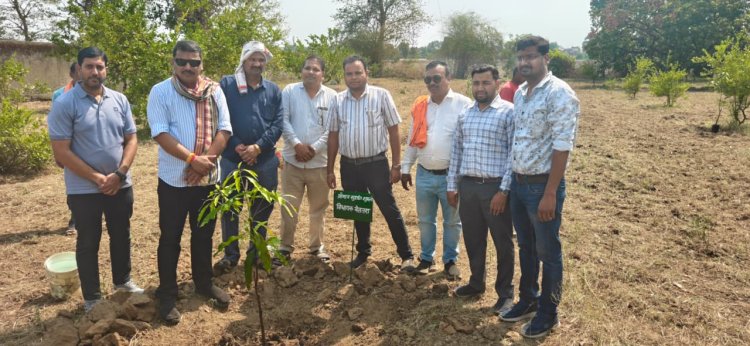 विधायक श्री सुशांत शुक्ला ने किया पौधरोपण, पर्यावरण संरक्षण का दिया संदेश