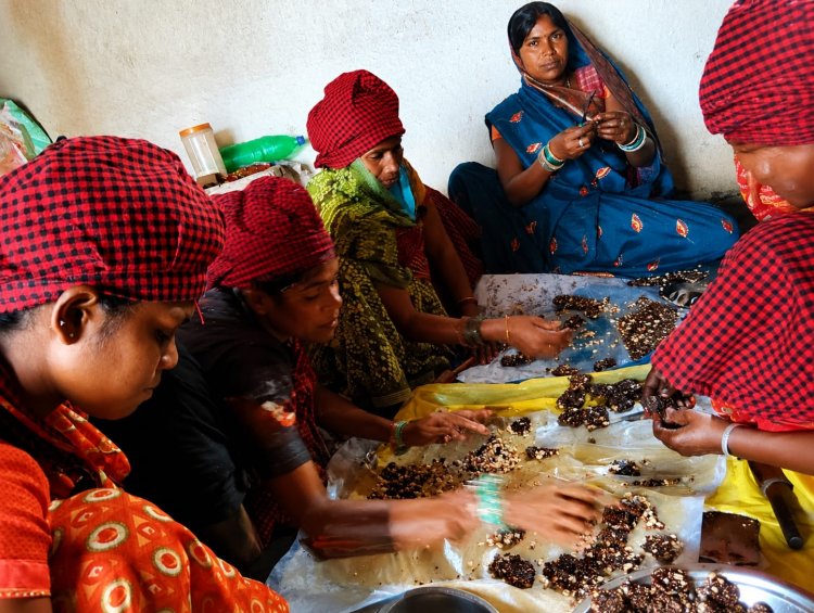 सफलता की कहानी    बिहान योजना से लखपति दीदी बनी प्रेम वर्षा