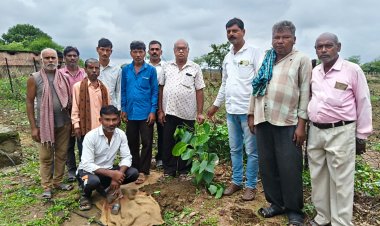 सहकारी सप्ताह में जिलेभर में विविध कार्यक्रमों का आयोजन*  किसानों को मिल रही तकनीक, वित्त और स्वास्थ्य सेवाओं का लाभ 